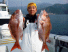 wpe22.gif (45789 oCg)
