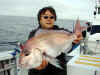 20090321_tobishimamaru_madai.jpg (10841 バイト)
